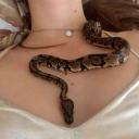 xcruelprincessx avatar