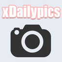 xdailypics avatar