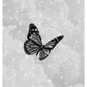 xdead-writers-societyx avatar