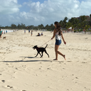 xdreamsonlylastforthenight avatar