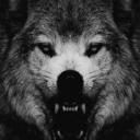 xelitwalker69x avatar