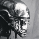 xenomorph--real avatar