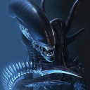 xenomorph-xenophobia avatar