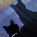 xenomorphique avatar