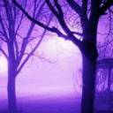 xenondestruction avatar