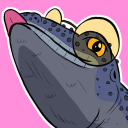 xenosaurus avatar