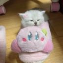 xiannicxillia avatar