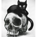 xismostwondrous avatar