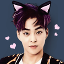 xiundeer avatar