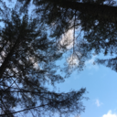 xkrxptonxgreen avatar