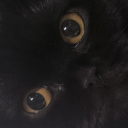 xlosingteethx avatar