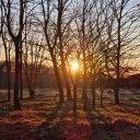 xlost-in-my-thoughts avatar