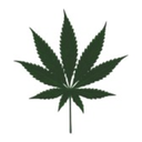 xmary-jane-nigga avatar