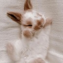 xmoonlightxxina avatar