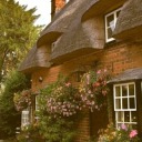 xmorbidcuriosityx avatar