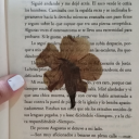 xmpxlsxvs-blog avatar