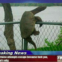 xo-love4ever615 avatar