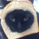 xoliviarealxd avatar