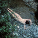 xoloitzcuintla avatar