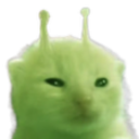 xoxo-littlelyssa avatar