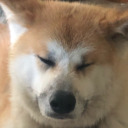 xoxopandapanda avatar