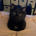 xpixiesticksx avatar