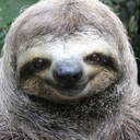 xsloth avatar