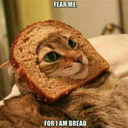 xthebreadmanx avatar