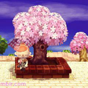 xwonder-crossing avatar