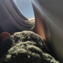 xx-poetry-witch-xx avatar