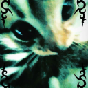 xx-swagnightmare-xx avatar