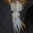 xxch3rryp1e2xx avatar