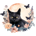 xxchexchickxx avatar