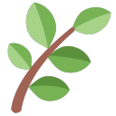 xxherbemojixx avatar