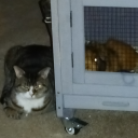 xxhorrorshousexx avatar