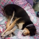 xxluchtalsknxx avatar