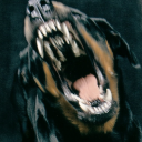 xxxdezsworld-0 avatar