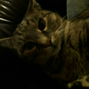 xxxdiexxxsstuff avatar