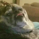 xxxdragonfucker69xxx avatar