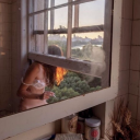 xxxtearsofbloodxxx avatar