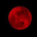 xxxxxxbloodiemooniexxxxxx avatar