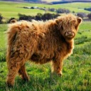 xxztztzxx-blog avatar