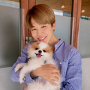 xyxy12345-blog avatar