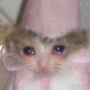 xzye-trelefor avatar