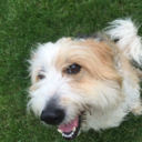 y0u-may-say-im-a-dr3am3r avatar