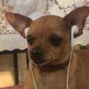 yagmurlusayfalar avatar