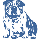 yaleadmissions avatar