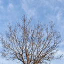 yalnizbirkahin avatar