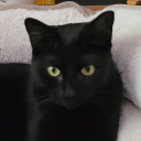 yamsinventory avatar