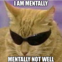 yandere-dandelion avatar